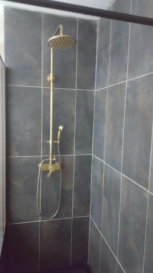 Appartement Spacieux Et Atypique Sedan Dış mekan fotoğraf